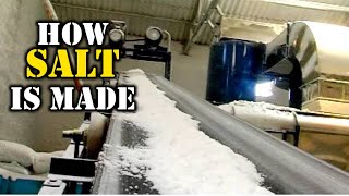 How Salt Is Made  Salt Refinery Process in Salt Factory [upl. by Adnaw183]