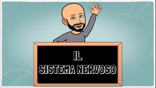 Il Sistema nervoso [upl. by Lledor594]