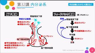 【高校講座 生物基礎】第32講「内分泌系」 [upl. by Lila]