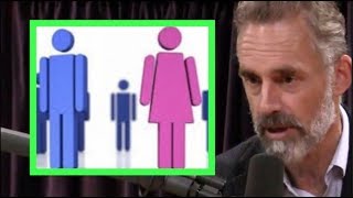 Jordan Peterson Explains the Gender Paradox  Joe Rogan [upl. by Oiled]