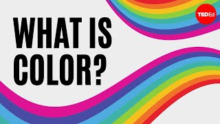 What is color  Colm Kelleher [upl. by Areta]