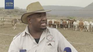 Botwanas cattle farmers struggle with drought [upl. by Quenna]