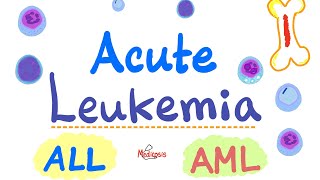 Acute Leukemia  ALL and AML  Hematology and Oncology Series [upl. by Gerfen889]