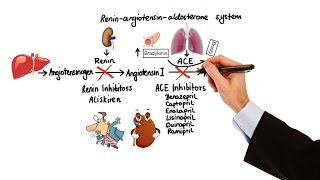 Pharmacology  HYPERTENSION amp ANTIHYPERTENSIVES MADE EASY [upl. by Oflodor]