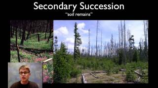 Ecological Succession [upl. by Chadbourne662]