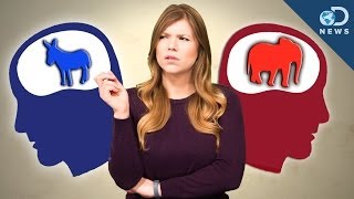 How Are Conservative And Liberal Brains Different [upl. by Nelle986]