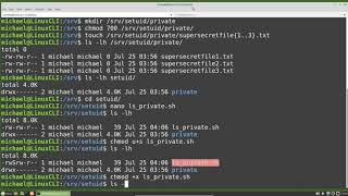 Linux Command Line 25 setuid [upl. by Agle]