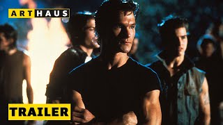 THE OUTSIDERS 4KRestaurierung  Trailer  Deutsch  Ab 1111 auf DVD Bluray UHD und digital [upl. by Emmi42]