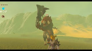 【ゼルダの伝説 ブレス オブ ザ ワイルド】 ライネル オマエ タオス [upl. by Aracat]