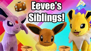 Eevees Siblings  Pokemon Plush Pals [upl. by Kermie]