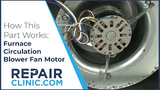 Furnace Circulation Blower Fan Motor Replacement [upl. by Yvehc153]