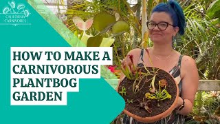 How To Make a Carnivorous Plant Bog [upl. by Amling]