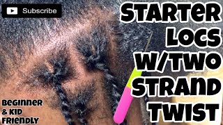 STARTER LOCS TUTORIAL TWO STRAND TWIST  3 MONTH UPDATE amp 1ST RETWIST  LOC JOURNEY [upl. by Anes689]