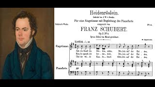 Franz Schubert  Heidenröslein Sheet music and lyrics [upl. by Ivetts]