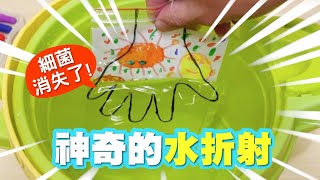 STEAM 科學小實驗｜多洗手細菌就會消失喔！神奇的折射實驗 [upl. by Warthman]