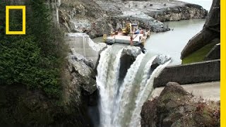 After Largest Dam Removal in US History This River Is Thriving  National Geographic [upl. by Gader]