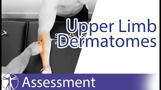 Dermatomes Upper Limb  Peripheral Neurological Examination [upl. by Enamrej]