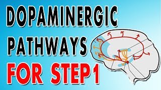 Dopaminergic Pathways [upl. by Brewer]