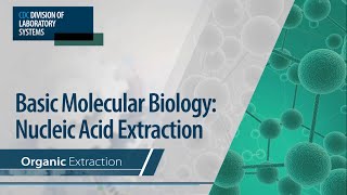 Basic Molecular Biology Nucleic Acid Extraction – Organic Extraction [upl. by Tiat]