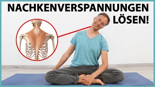 Nackenverspannungen lösen für IMMER 2 TOP Übungen  Anatomie [upl. by Ody]