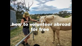 How to volunteer abroad for free [upl. by Hajidahk626]