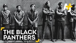 5 Things To Know About The Black Panthers [upl. by Son127]