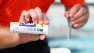 NC HowTo Properly Test For Phosphates [upl. by Goldstein]