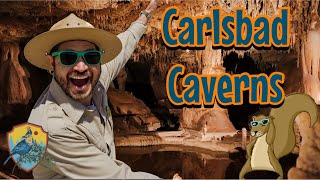 Visiting Carlsbad Caverns National Park  Educational Videos For Kids [upl. by Lopes]