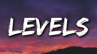 Avicii  Levels Lyrics [upl. by Yziar]