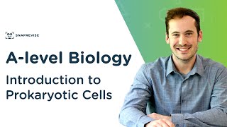 Introduction to Prokaryotic Cells  Alevel Biology  OCR AQA Edexcel [upl. by Mile]