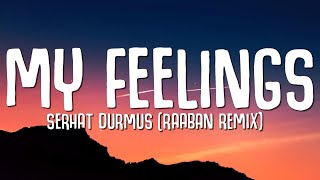 Serhat Durmus  My Feelings Lyrics ft Georgia Ku Raaban Remix [upl. by Bolling39]