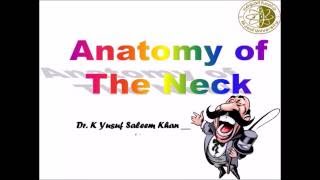 Anatomy  NECK  Complete  Dr Yusuf [upl. by Ingvar715]