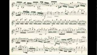 Haydn Joseph 4th violin concerto in Gdur [upl. by Barkley]