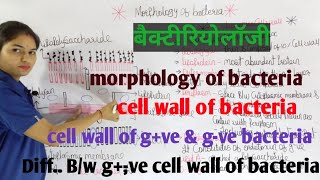 Morphology of Bacteria in hindi  Bacterial Structure  Bacteriology  By Manisha Maam [upl. by Audrit]