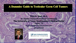 A Dummies Guide to Testicular Germ Cell Tumors [upl. by Ynej]