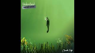 Omah Lay Understand  Best Remix Versions [upl. by Hiroshi]