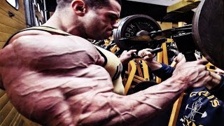 Bodybuilding Motivation  Every day [upl. by Neelav932]