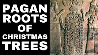 The Pagan Roots Of Christmas Trees [upl. by Egroeg]