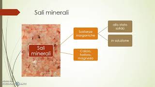 Nutrienti e classificazione degli alimenti [upl. by Conlin615]