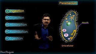 Life Processes  2 Chapter 6  Heterotrophic nutrition  CBSE Class 10 Science  Biology  Toppr [upl. by Yacano368]