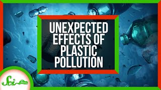 3 Unexpected Effects of Plastic Pollution [upl. by Khudari871]