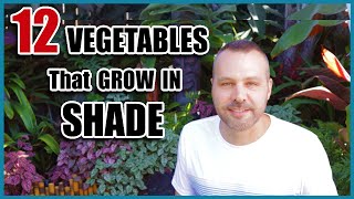 12 Vegetables That Grow in Shade [upl. by Lenard]