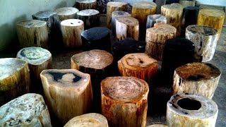 Petrified Wood Prices [upl. by Eniladam]