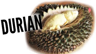 DURIAN Taste Test  FRUITY FRUITS [upl. by Atteroc]