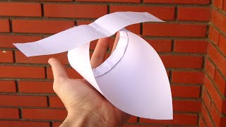 Cómo hacer un Avión de Papel en forma de pájaro [upl. by Ayeki]