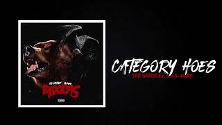 Lil Durk amp Tee Grizzley quotCategory Hoesquot Official Audio [upl. by Ahseyi]