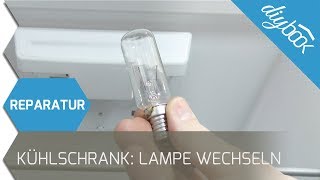 Kühlschrank  Lampe wechseln [upl. by Aserehc818]