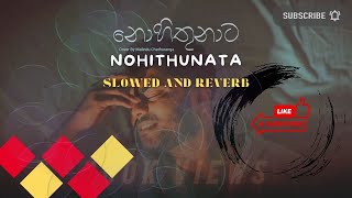 Nohithunata  නොහිතුනාට  Slowed Reverb Song [upl. by Mendel997]