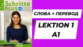 Слова А1 Lektion 1 Schritte plus neu [upl. by Allis]