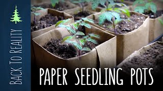 Square Paper Seedling Pots  Quick Easy and Biodegradable [upl. by Rellek]